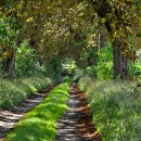 28 Fotozirkel Mannheim e.V. Gise Kraas